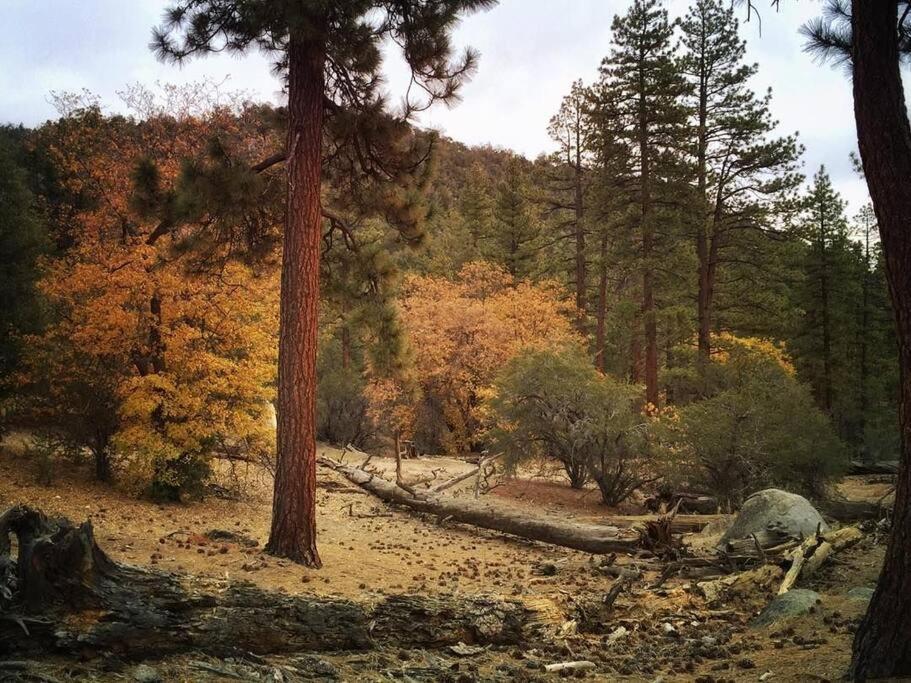 Summit: Discover Serenity In This Cozy Cabin With Mountain Views! Villa Big Bear Lake Buitenkant foto